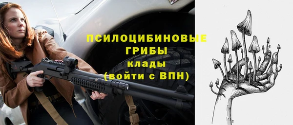 амф Алексин